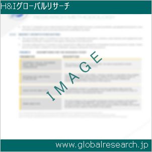 グローバルリサーチ調査レポートのイメージ